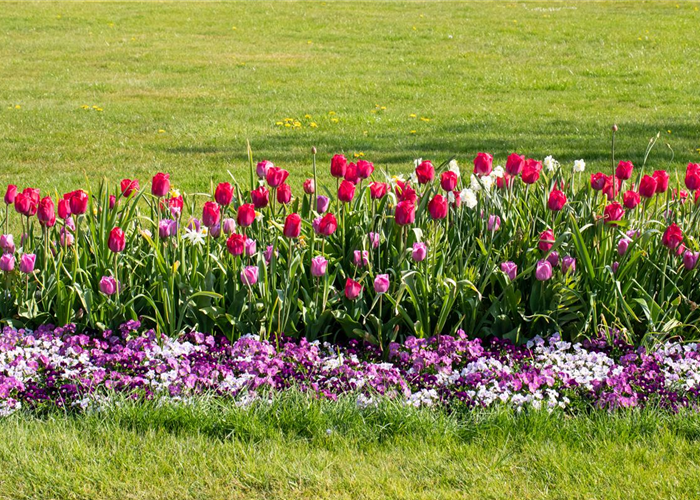 Wie ein pflegeleichter Garten gestaltet wird Wie ein pflegeleichter Garten gestaltet wird