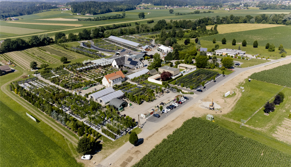 Baumschule_Luftbild_DJI_0512.jpg